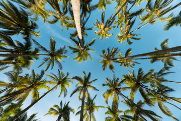 Bright blue sky over l'Etang Saint Paul in Reunion Island