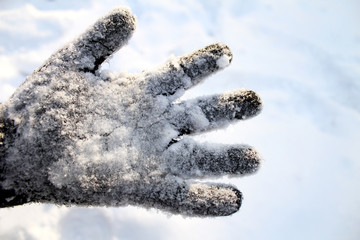 The palm with the glove in the snow. 