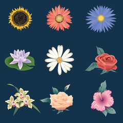 web design icon and symbol. Flat vector sign isolated on blue background. Simple vector illustration for graphic and web design.