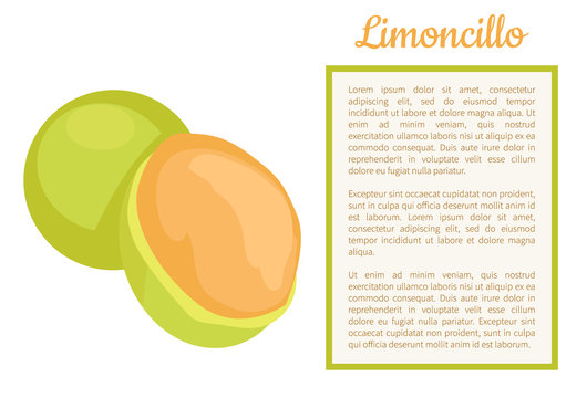Limoncillo fruit whole and cut poster frame for text vector. Melicoccus bijugatus, Spanish lime, genip guinep, genipe and ginepa, quenepa, quenepe, chenet