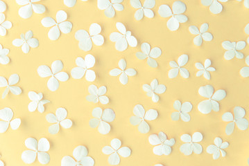 Summer white wild flowers on yellow background. Springtime floral pattern wallpaper. Flat lay, top view, copy space.