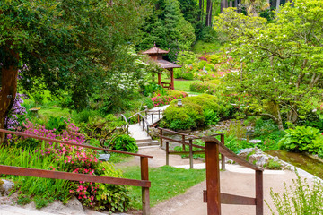 Japanese garden