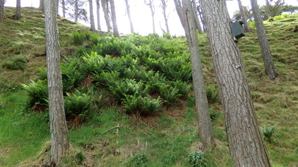 KODAK Digital Still Camera © agent_halstein