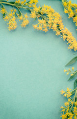 Summer yellow wild flowers on blue background. Springtime floral verticale. Flat lay, top view, copy space.