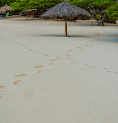 Tiki umbrella on the beach with an X to mark the spot