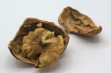 walnut photographed closely