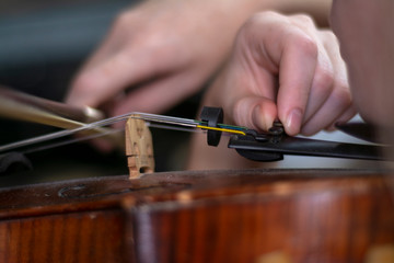 Violin girl conducts fine tuning of the violin