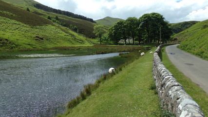 KODAK Digital Still Camera © agent_halstein