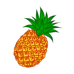 Illustration of fresh fruit pineapple, Vector Illustration