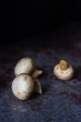 Mushroom Boletus over Wooden Background. Autumn Cep Mushrooms. Ceps Boletus edulis over Wooden Dark Background, close up on wood rustic table. Cooking delicious organic mushroom. Gourmet food.