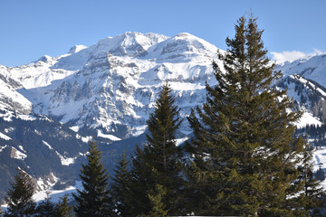 Pics glacés de l'Oberland bernois, Suisse