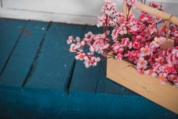 Sakura artificial flowers in a wooden box on a blue background