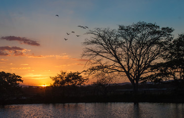 paisaje de Crepusculo, puesta de sol en laguna atardecer