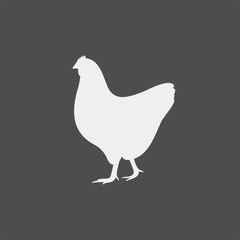Chicken flat vector icon. Chicken vector silhouette