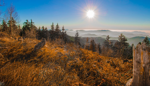 Fototapeta Wunderschöne Aussicht auf Schwarzwald Schwarzwaldhochstrasse