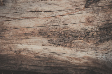 Fototapeta premium wood texture background