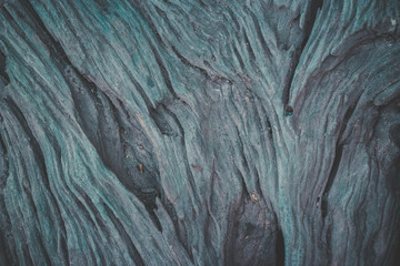 wood texture background