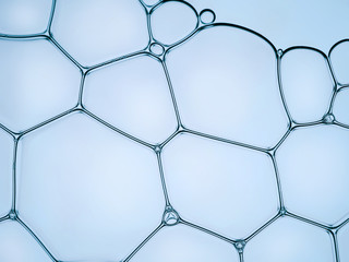Fototapeta premium Macro close up of soap bubbles look like scienctific image of cell and cell membrane