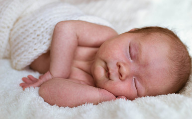 Infant portrait in white