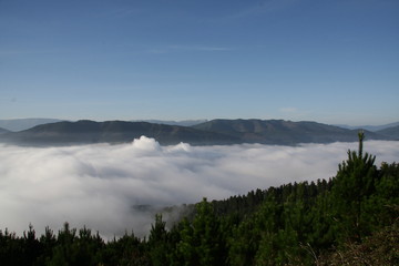 Fototapeta na wymiar Mar de niebla