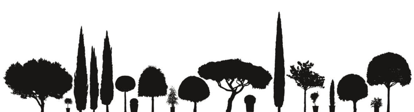 Vektor Silhouetten Pflanzen und B&auml;ume Sortiment f&uuml;r den Garten mit Topfpflanzen vor wei&szlig;em Hintergrund