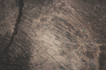 wood texture background
