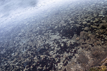 Fototapeta na wymiar underwater ground in pure lake texture