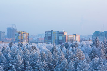  City with new multi-storey houses on the background of a winter forest and the sun at sunset with a bird's-eye view
