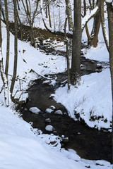 River in winter