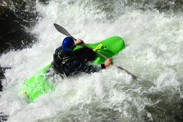 Blaze on brilliant green