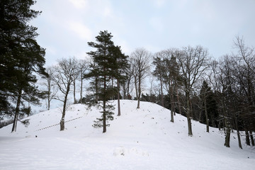 Winter landscape with hill