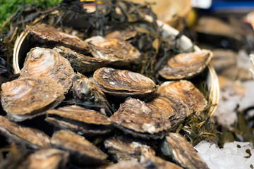 the Pool arbour rare native oysters and cherrystone clams on ice at the Borough Market in London