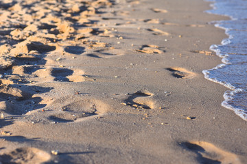 Footprints along the coastline on a sunny evening