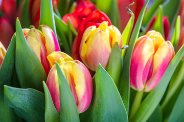 Bunch of flowers, bouquet of tulips, spring background, women day