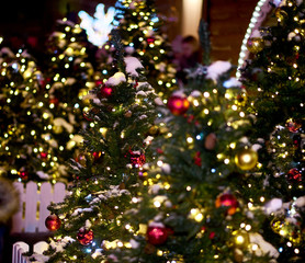 Fototapeta na wymiar christmas tree with red lights