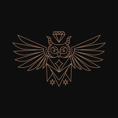 Owl geometry with diamond logo design