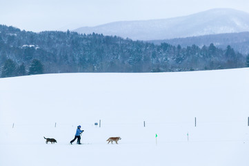 Cross country skiing, Stowe, Vermont, USA
