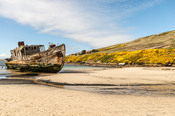 Naklejka premium New Island Falklands Shipwreck