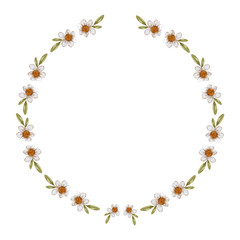 Watercolor wreath with chamomile and herbs on a white background. Handwork. Spring summer decor frame. Vector illustration Design element for invitations, greeting cards, cosmetics, baby card.