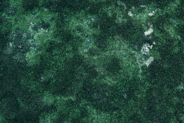 Beautiful nature background of green moss on the old wall