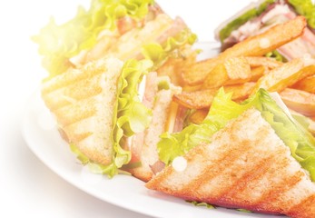 Grilled sandwiches with french fries on white plate