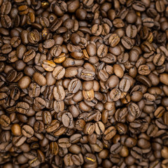 Coffee beans