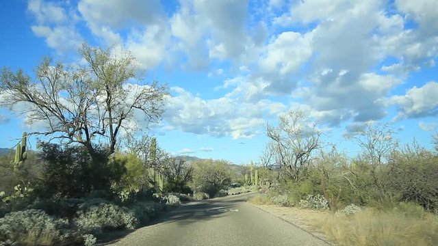 Driving through the desert in southern Arizona.
