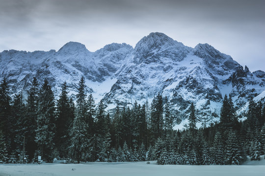 Fototapeta Tatry