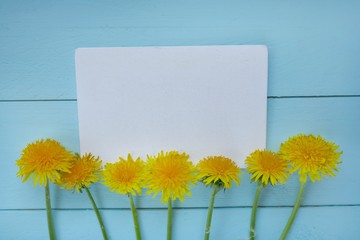Dandelion flower. Spring Flat lay.Spring to-do list.Yellow dandelion and blank notepad on light...