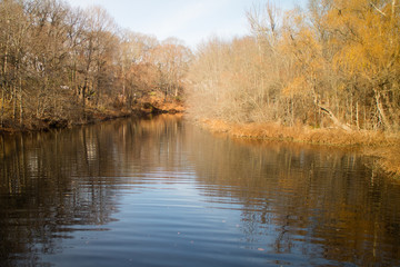 Fototapeta premium Autumn