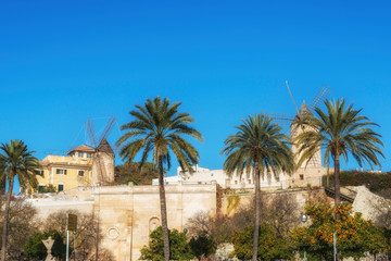 Fototapeta na wymiar Palms and ancient windmills in Palma de Mallorca, Balearic islands, Spain