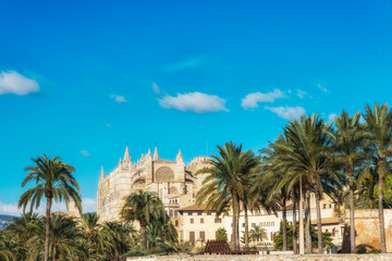 Fototapeta na wymiar Cathedral de Santa Maria in Palma de Mallorca, Balearic islands, Spain