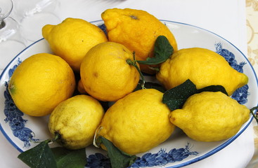 Traditional lemons in Amalfi Coast