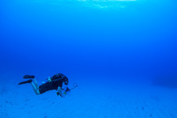 A scuba diver using rebreather equipment can be seen swimming slowly through the very calm water in Grand Cayman. The diverr has equipment to cull invasive lionfish. The water is warm so the diver doe